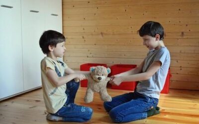 Keeping The Peace Between Siblings Fighting